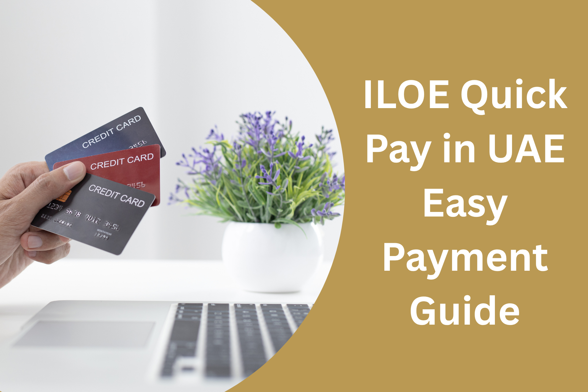 ILOE Quick Pay