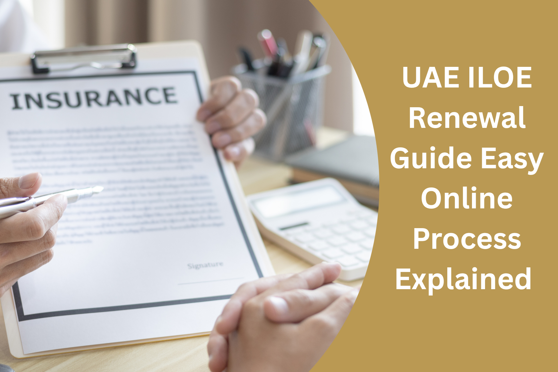 ILOE Insurance Renewal